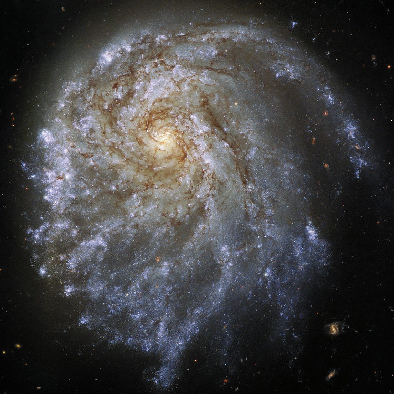 52688095545_b9fa332de6_c 52688095545_b9fa332de6_c